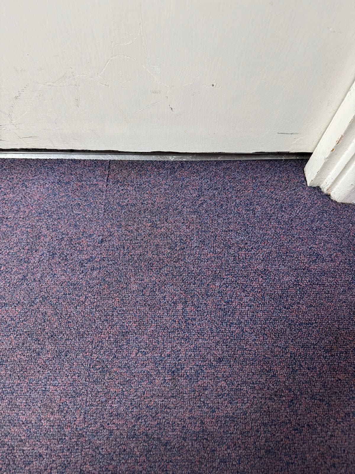 Clean carpet near doorway after professional cleaning with stains removed and refreshed appearance