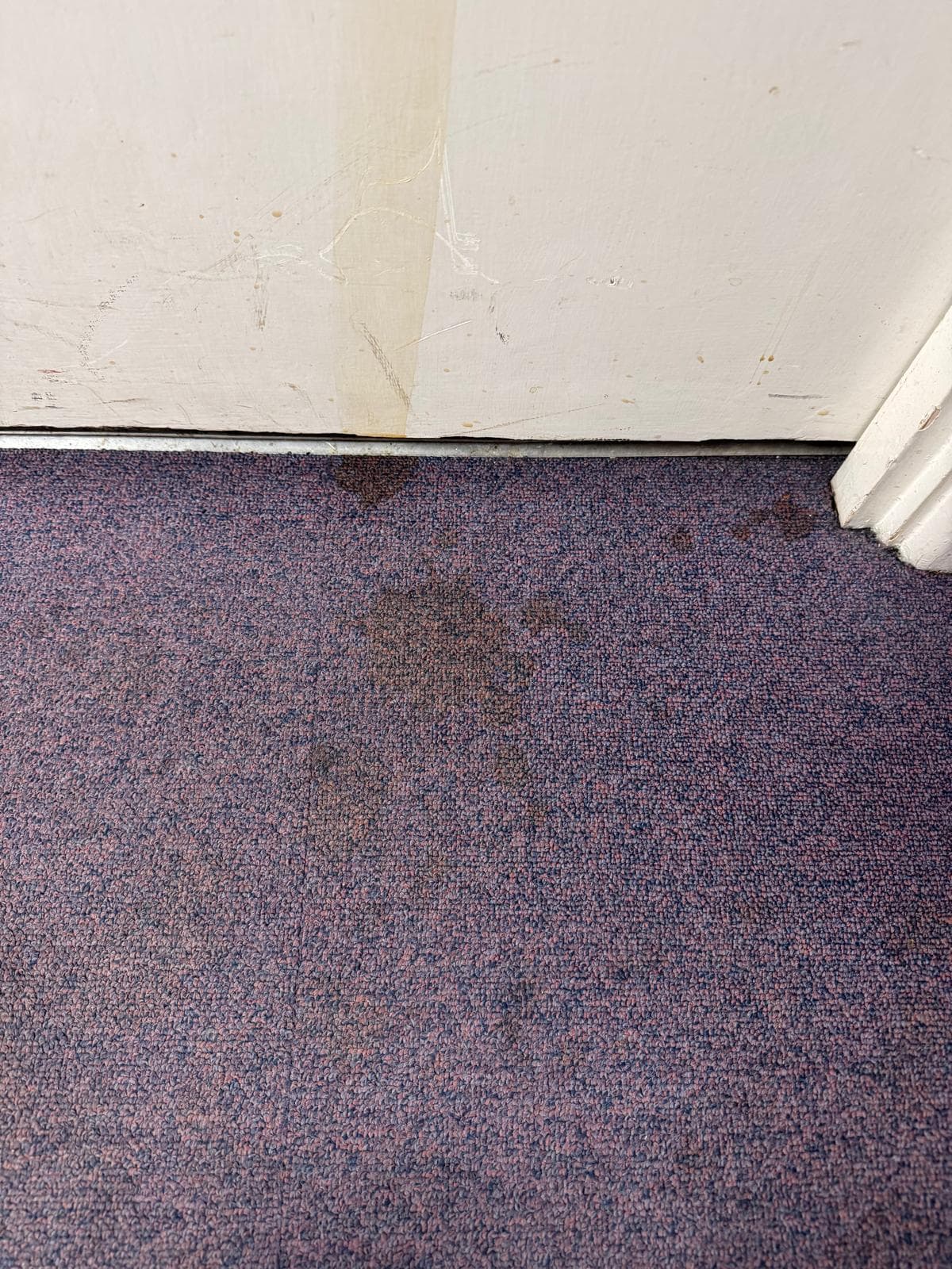 Stained carpet near doorway in London property showing visible dirt marks and buildup before cleaning